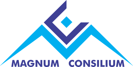 MAGNUM CONSILIUM LLC